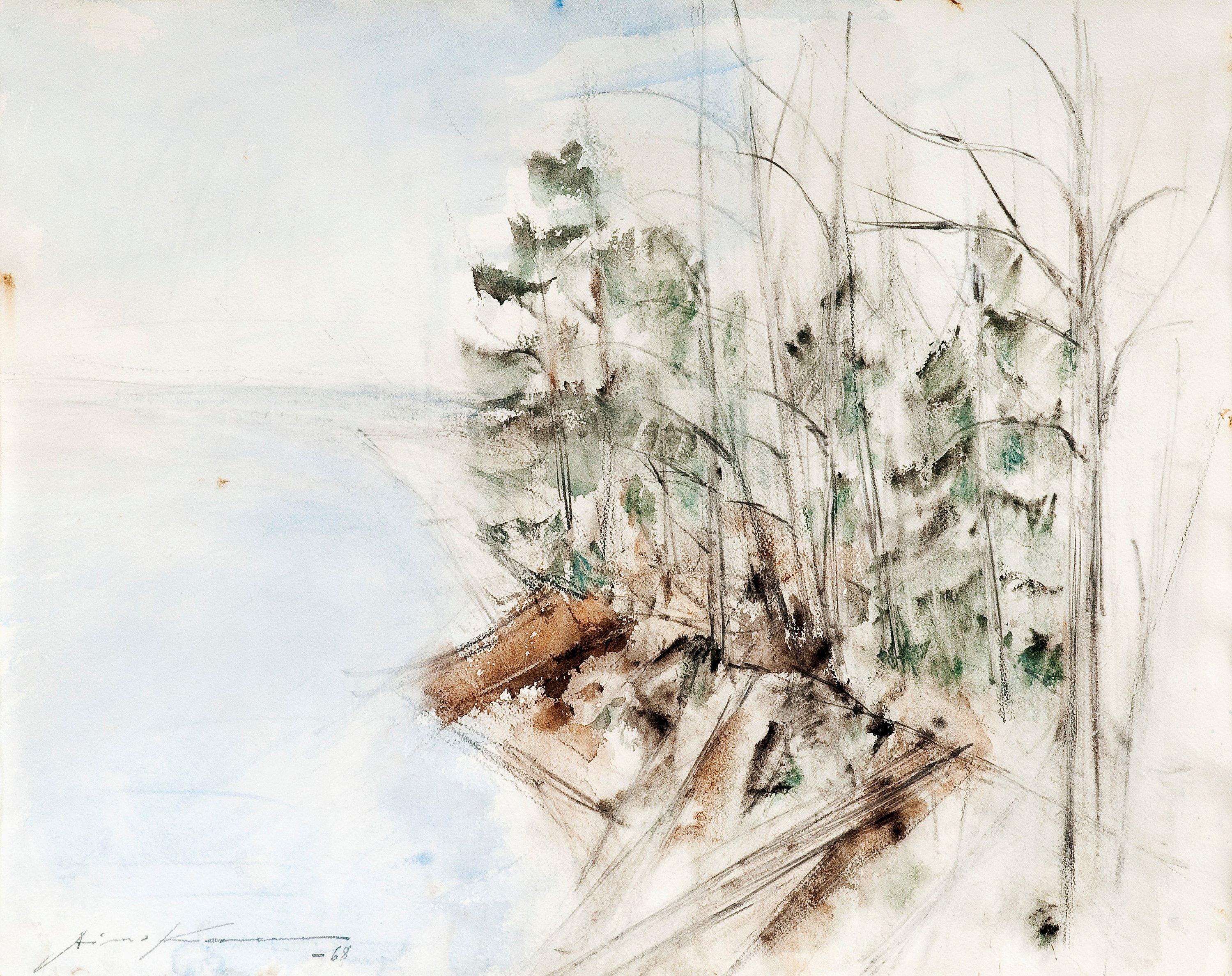 Aimo Kanerva - Skogsvy