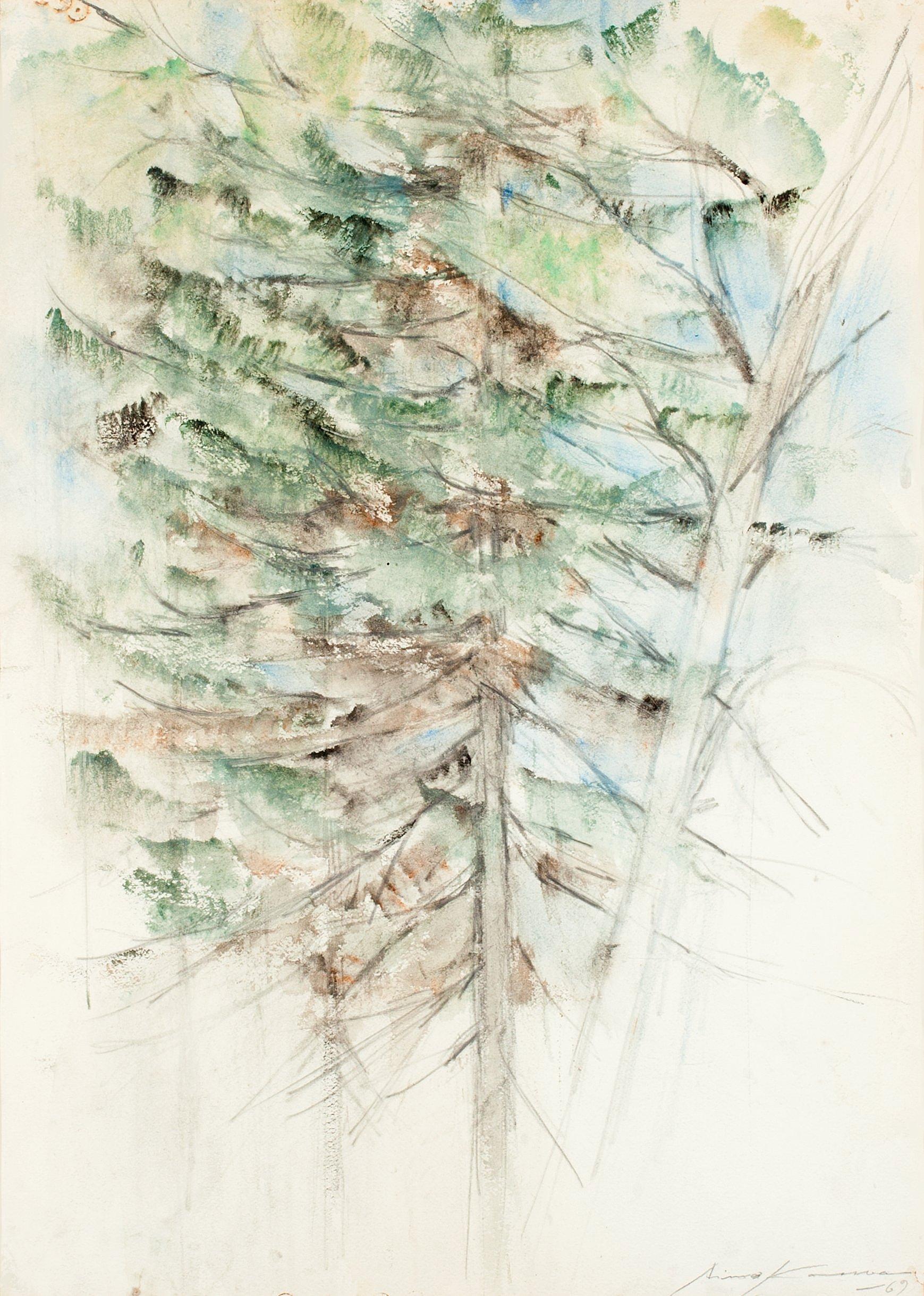 Aimo Kanerva - Spruce Trees.