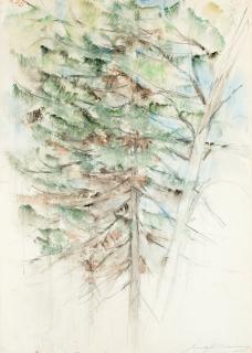 Aimo Kanerva - Spruce Trees.