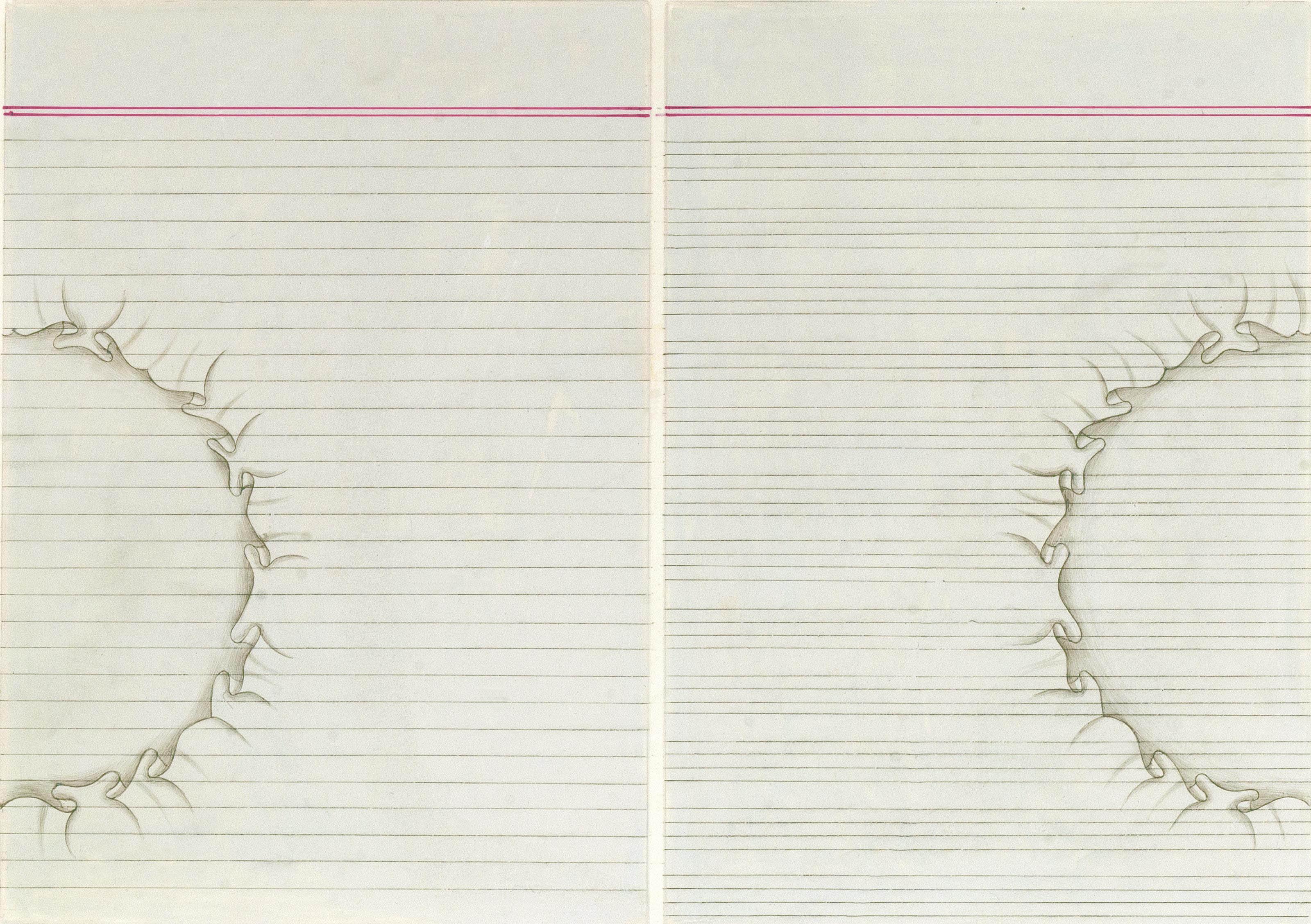 Aisha Khalid - Divided