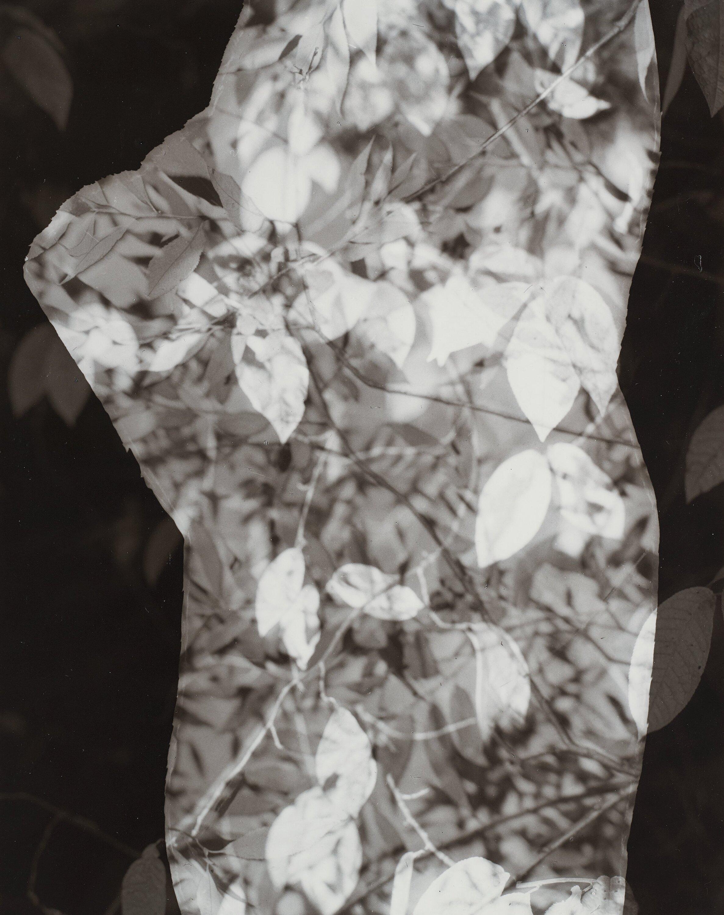 Åke E:son Lindman - \