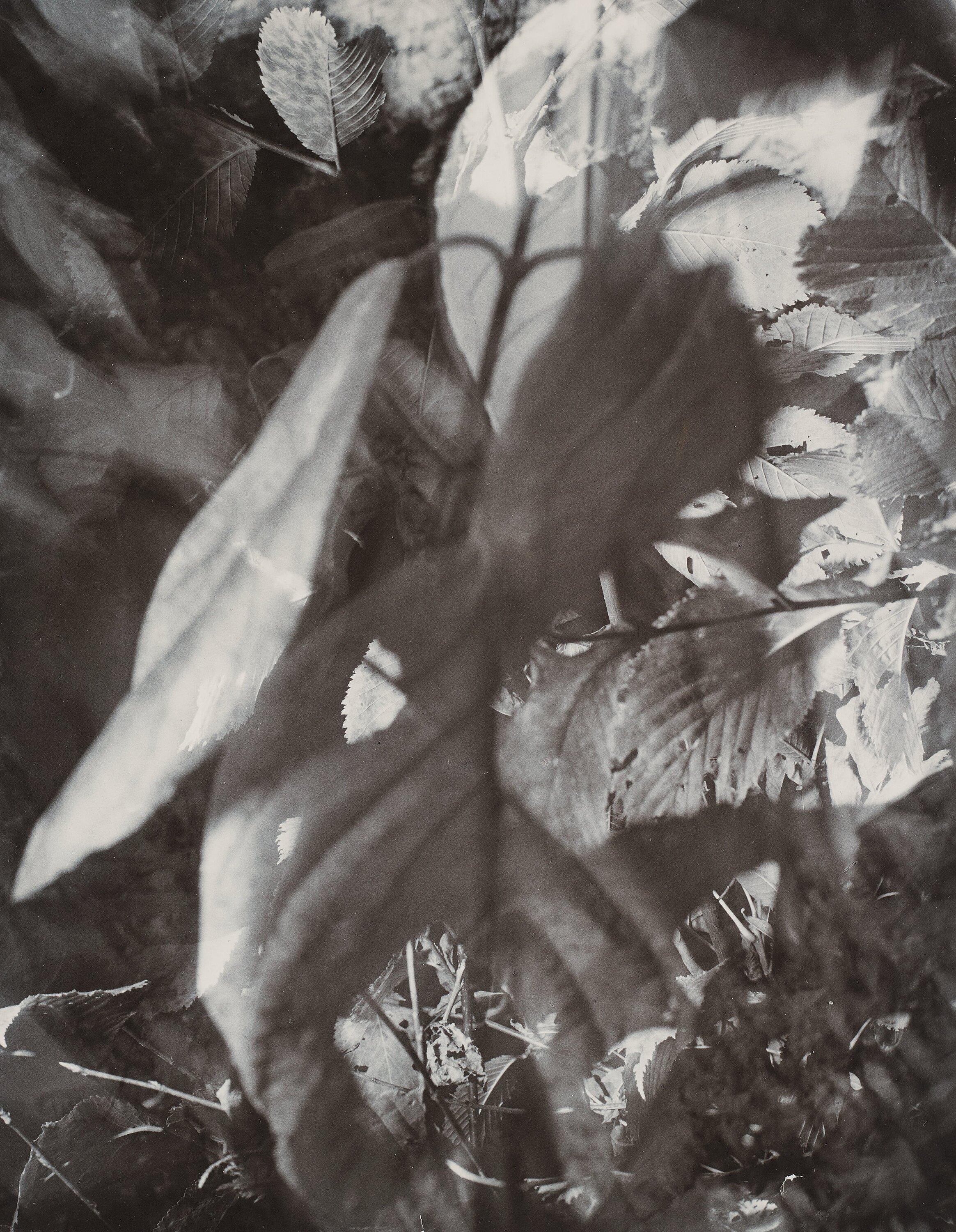 Åke E:son Lindman - \