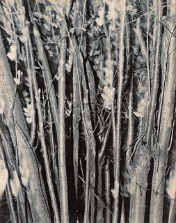 Åke E:son Lindman - \