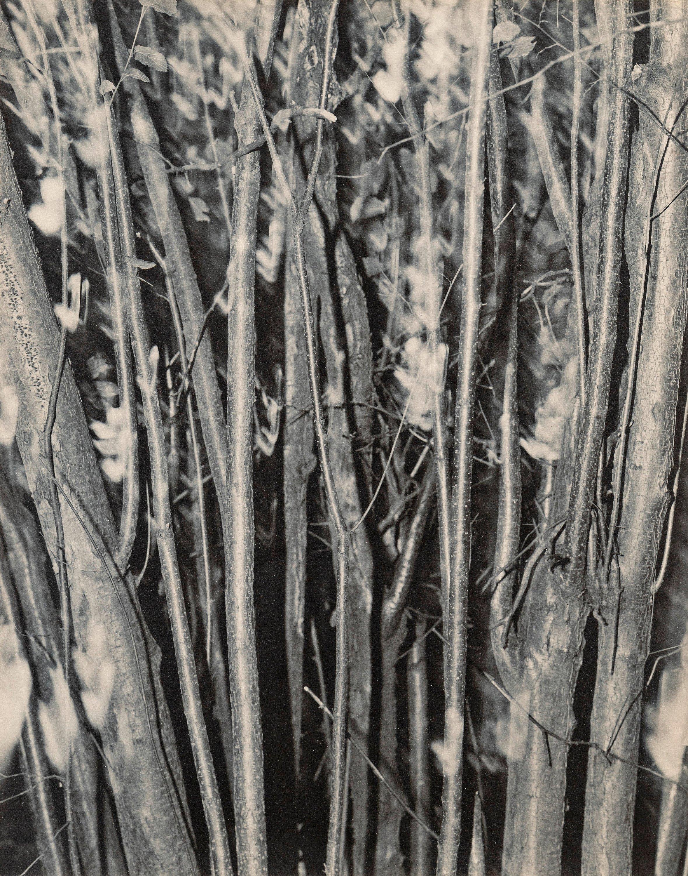 Åke E:son Lindman - \