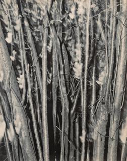 Åke E:son Lindman - \