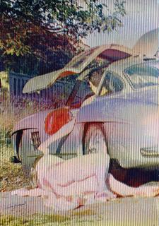 Alain Jacquet - L\'enlèvement d\'Europe