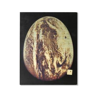 Alain Jacquet - Qui vole un oeuf ...