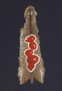 Alan Belcher - Cat-sup #37; and Cantelope #73