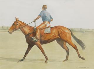 Alan Brassington - Forest, Polo Pony