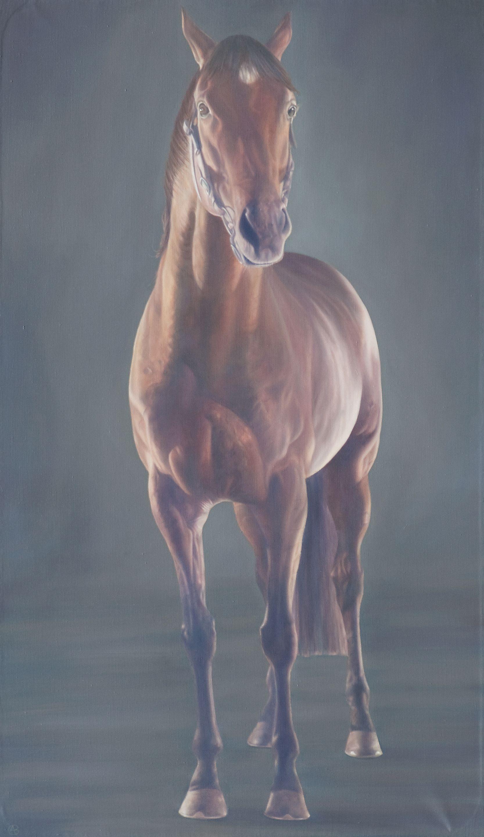 Alan Brassington - Motivator - Racehorse Front Portrait