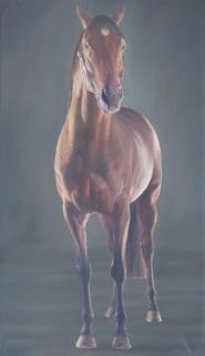 Alan Brassington - Motivator - Racehorse Front Portrait