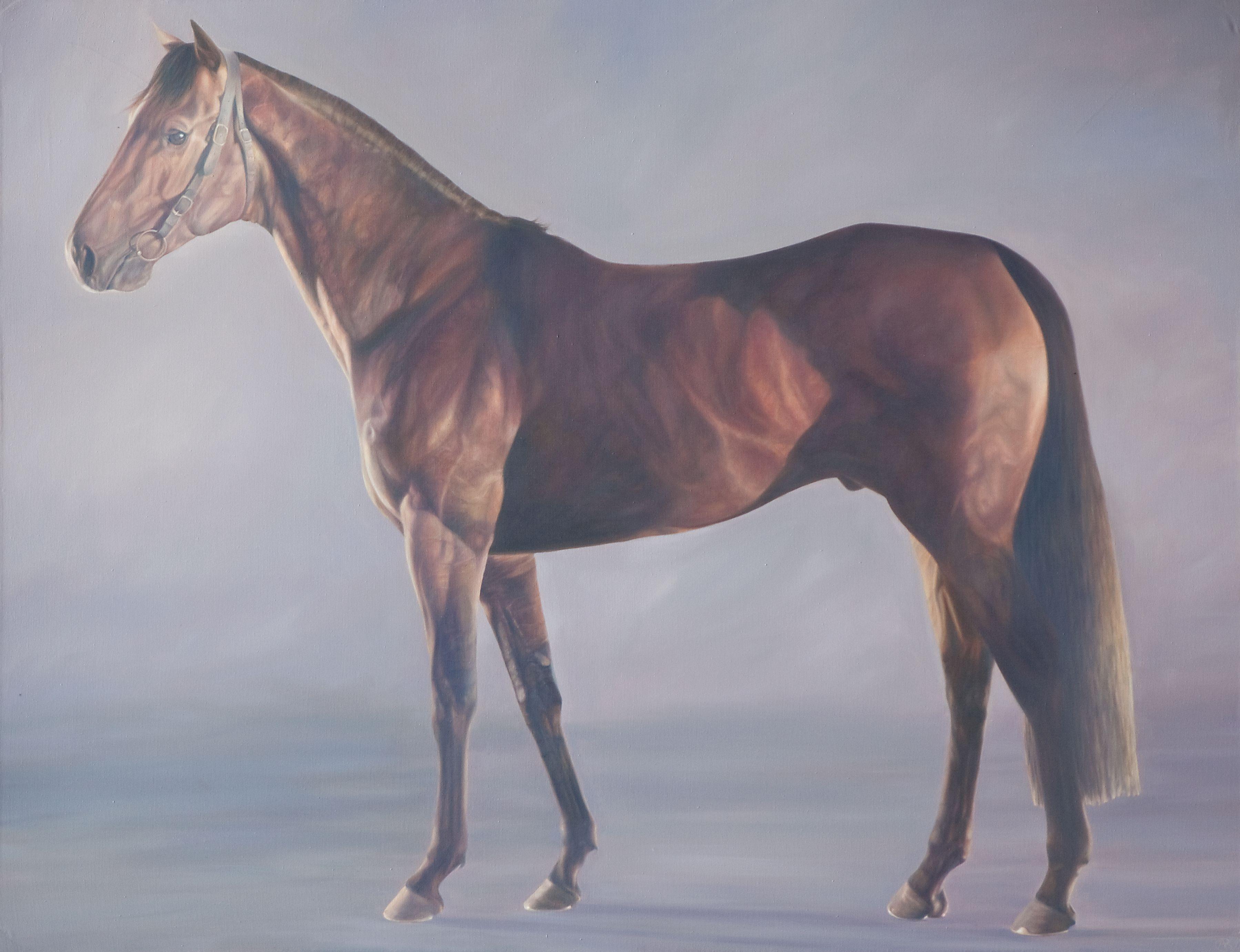 Alan Brassington - Motivator - Racehorse Side Portrait