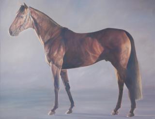 Alan Brassington - Motivator - Racehorse Side Portrait