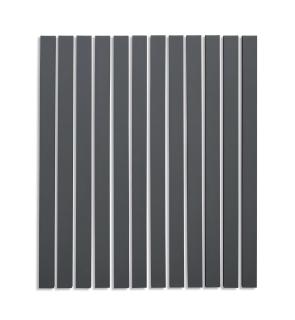 Alan Charlton - 12 Part Line Painting