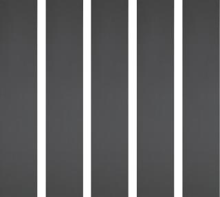 Alan Charlton - Sans titre