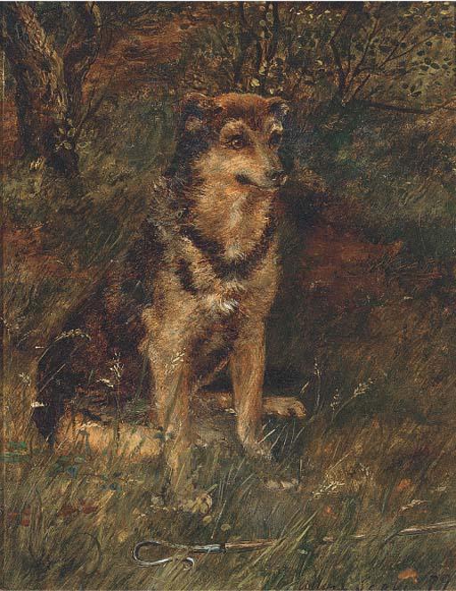 Alan Culpepper Sealy - A dog in a wood