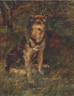 Alan Culpepper Sealy - A dog in a wood