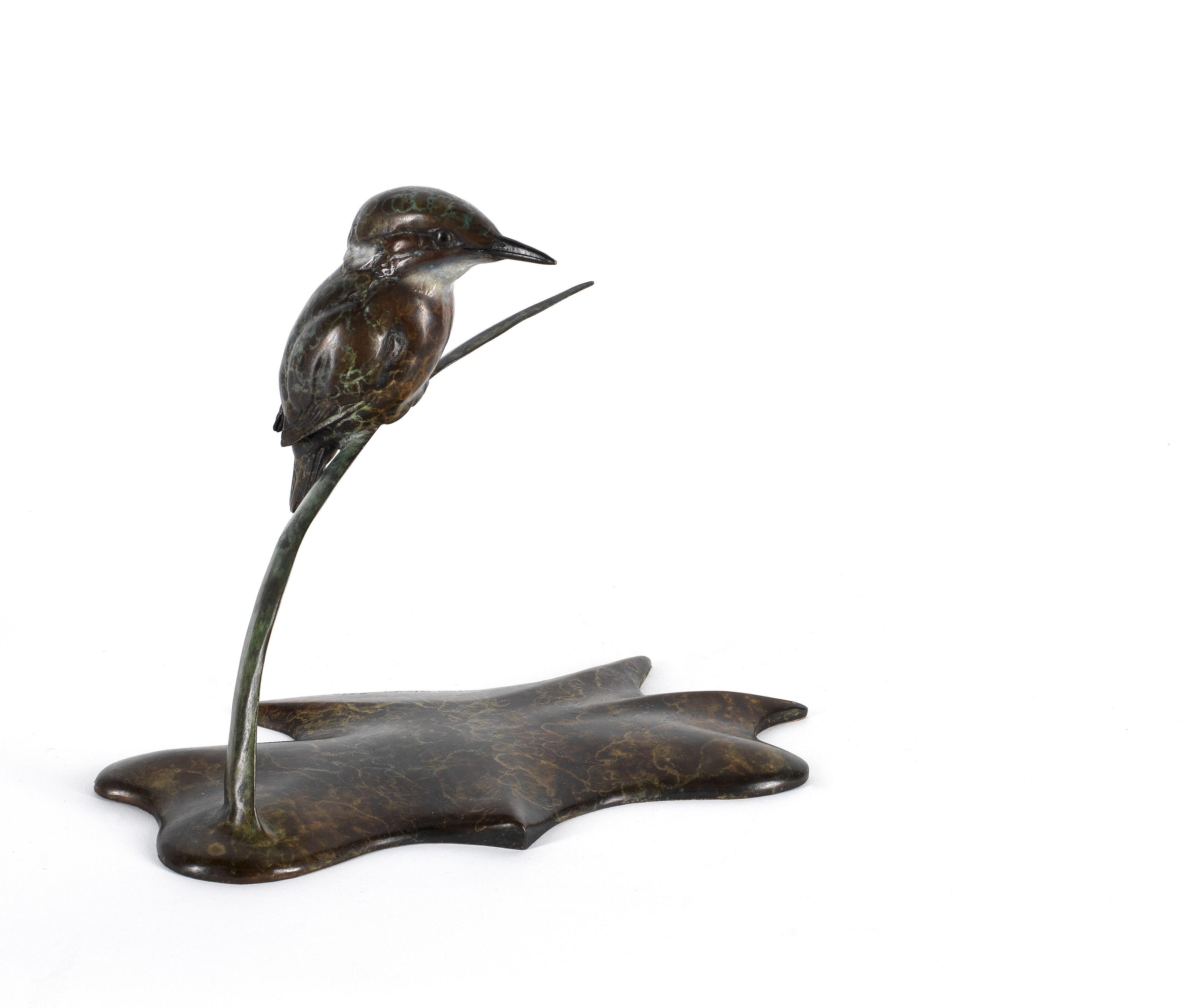 Alan Glasby O.B.E. - Kingfisher 25cm (9 13/16in) long.