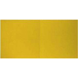 Alan Green - Britishintersection Orange