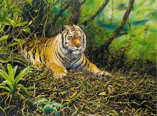 Alan Hunt - Snarling Tiger