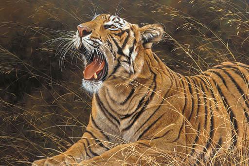 Alan Hunt - Snarling Tiger