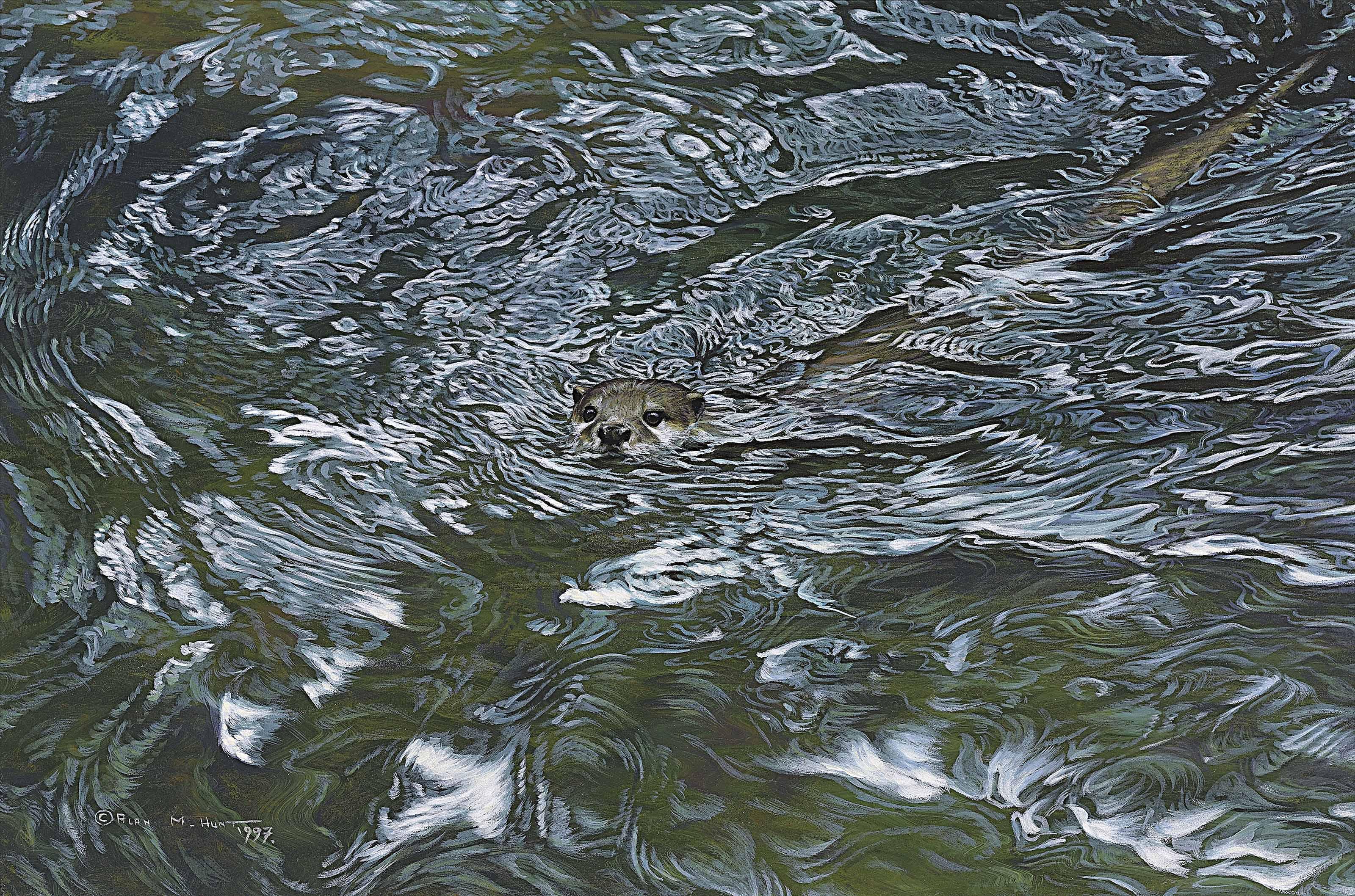 Alan M. Hunt - An Otter Amid The Swirling Currents