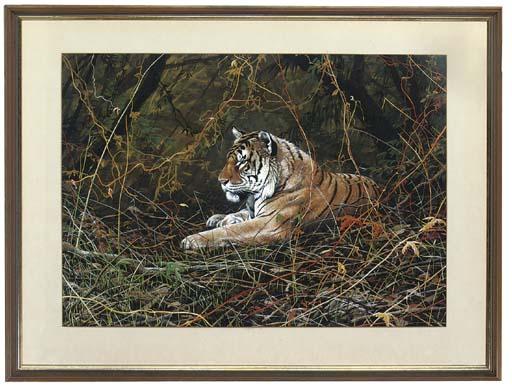 Alan M. Hunt - Lord of the jungle