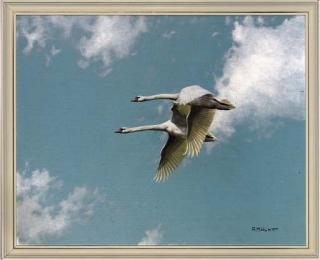 Alan M. Hunt - Swans In Flight