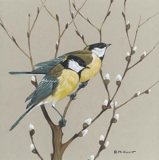 Alan M. Hunt - Two blue tits on a branch