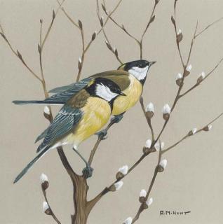Alan M. Hunt - Two blue tits on a branch