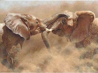 Alan M. Hunt - Two Elephants