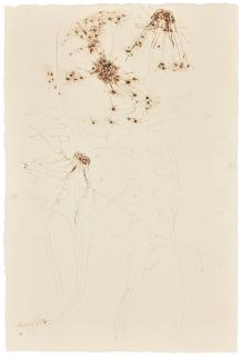 Alan Reynolds - Dandelion