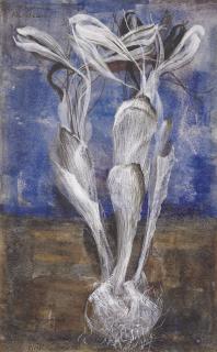 Alan Reynolds - The Crocus