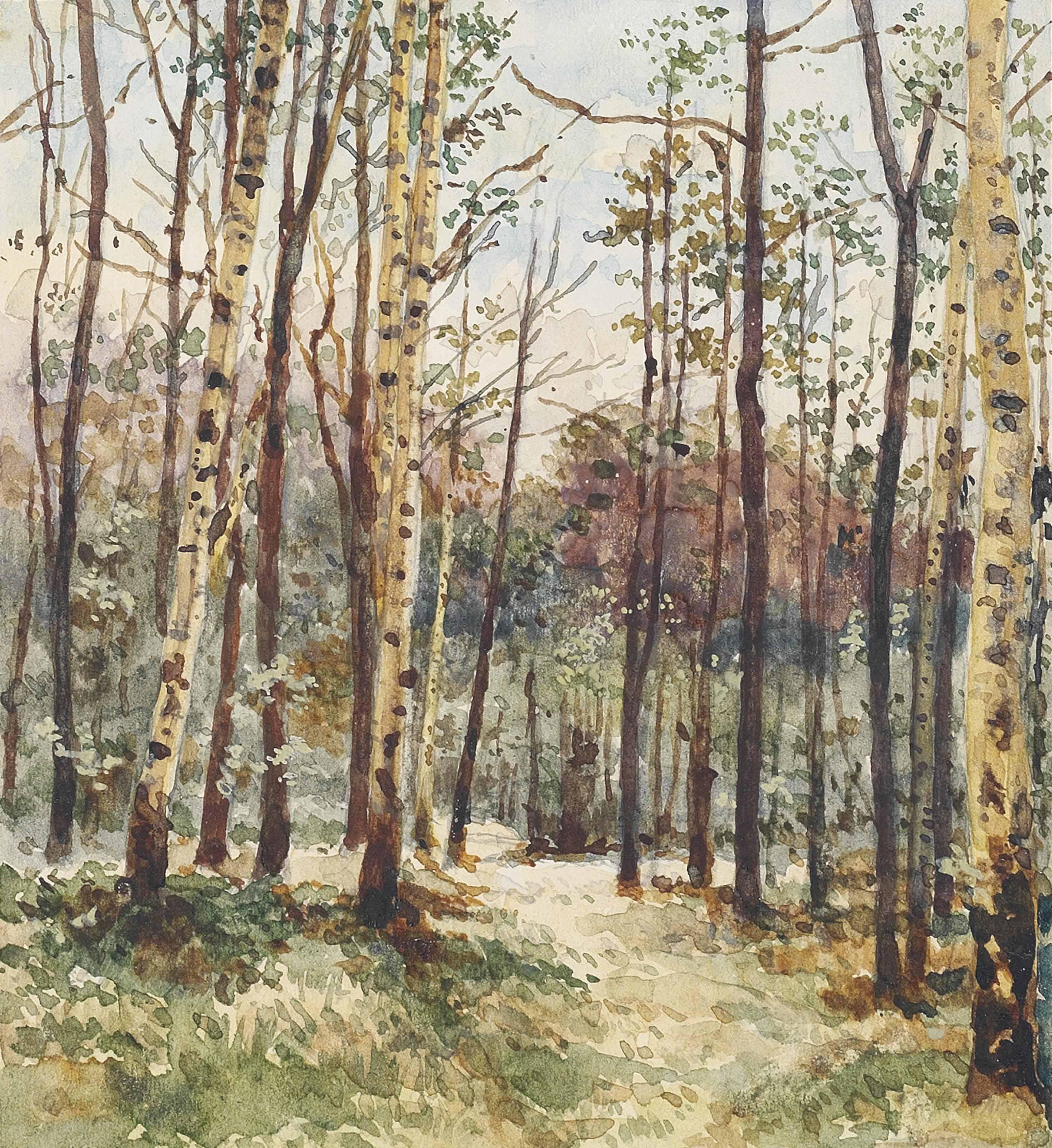 Albert Benois - Birch Grove In The Morning Light