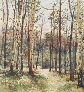 Albert Benois - Birch Grove In The Morning Light