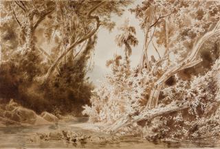 Albert Berg - Urwaldlandschaft in Südamerika.