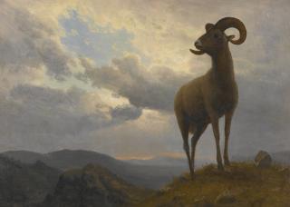 Albert Bierstadt - Bighorn Sheep