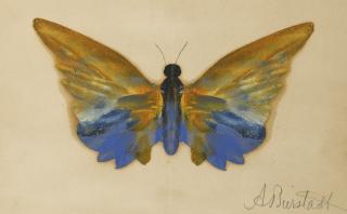 Albert Bierstadt - Butterfly