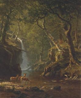 Albert Bierstadt - Cascading Falls