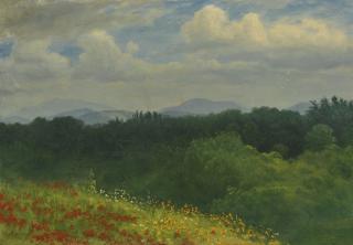 Albert Bierstadt - Field Of Red And Yellow Wildflowers