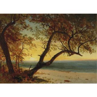 Albert Bierstadt - Landscape In The Bahamas