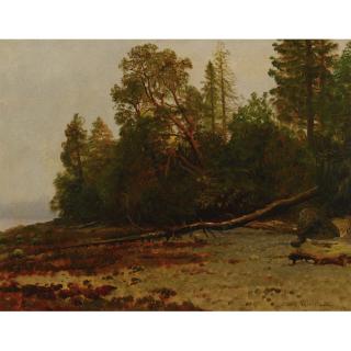 Albert Bierstadt - The Fallen Tree