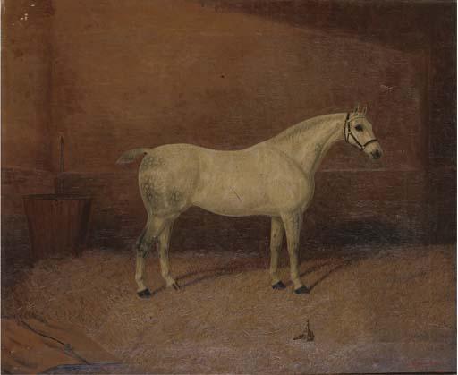 Albert Clark - A Dappled Grey Hunter In A Stable