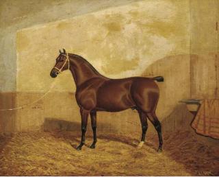 Albert Clark - A tethered brown hunter in a stable