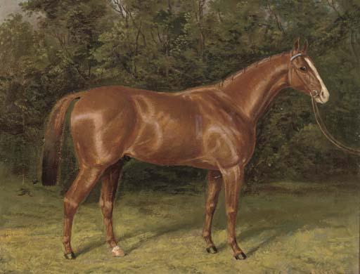 Albert Clark - Blair Athol