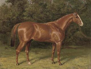 Albert Clark - Blair Athol