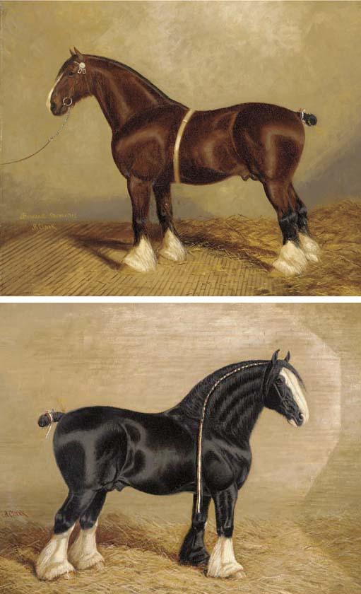 Albert Clark - Bury Victor Chief a heavy horse; and Bindsall Menestrel a heavy horse
