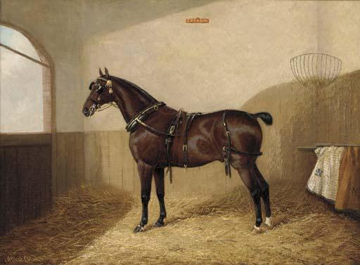 Albert Clark - Goodboy, a harnessed liver chestnut in a stable