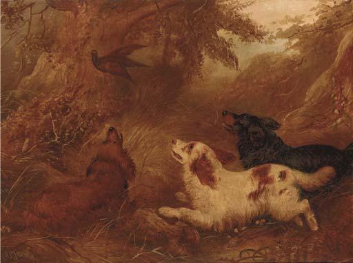 Albert Clark - Spaniels flushing out a pheasant