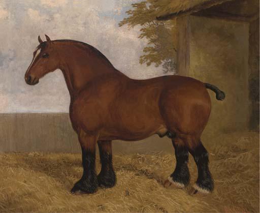 Albert Clark - The Shire Stallion